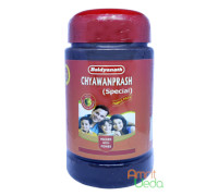 Чаванпраш Спешл (Chyawanprash Special), 500 грамм