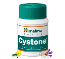 Цистон (Cystone), 60 таблеток