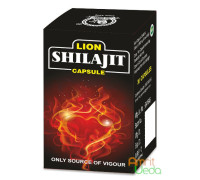 Шиладжит очищенный (Shilajeet), 30 капсул