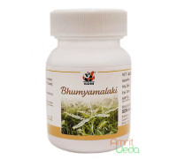 Bhumiamalaki, 40 capsules