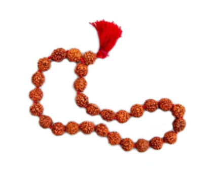 Rudraksha bracelet , 27 beads